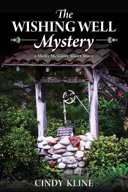 The Wishing Well Mystery